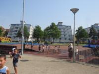IMG 8061