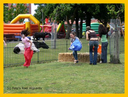 25 juni transvaal -boerderij - 098