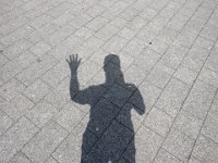 IMG 8251