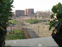 IMG 0631