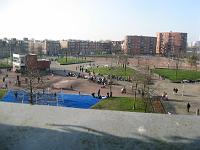 IMG 0637