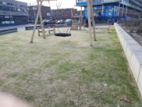 IMG-20170301-WA0003