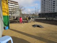 IMG 4691