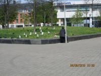 IMG 0039