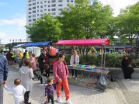 IMG 8885