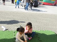 IMG 8974