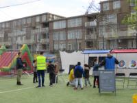 IMG 7381
