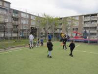 IMG 7490