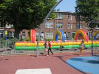 IMG 5537