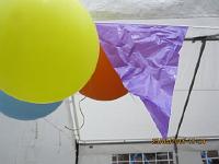 IMG 0738