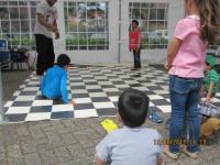 IMG 0231