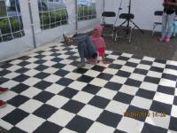 IMG 0244