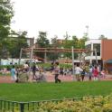Previous image