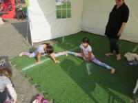 IMG 4558