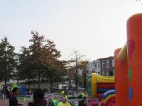 IMG 4646