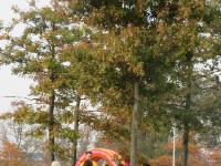 IMG 4648