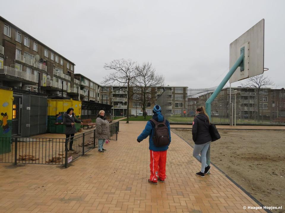 Renovatie Joubertplantsoen