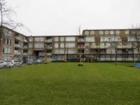 IMG 4754