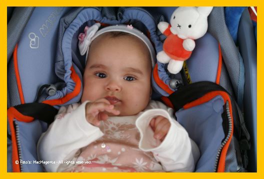 PICT0083