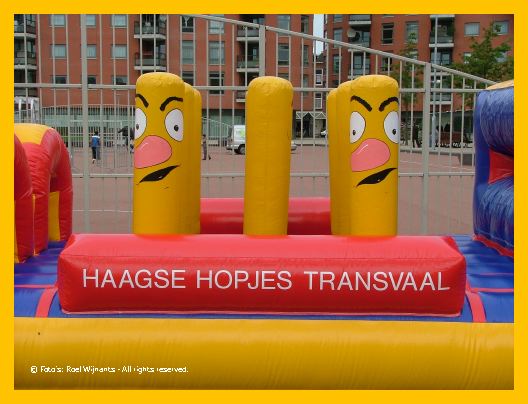 Transvaal-roel - 002