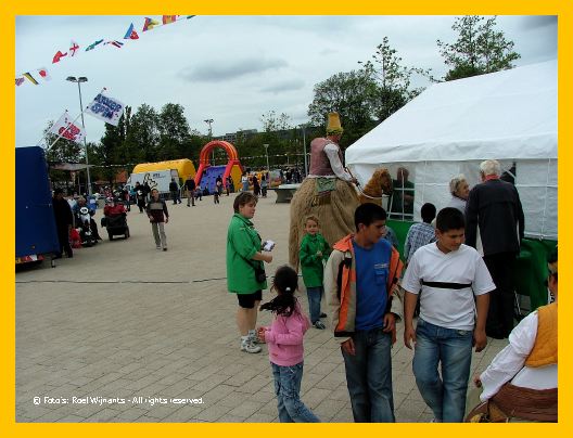 Transvaal-roel - 056