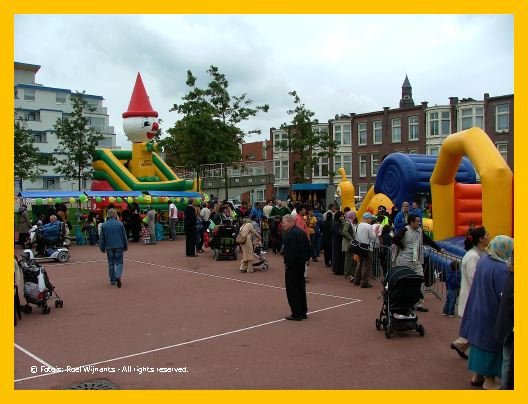 Transvaal-roel - 070