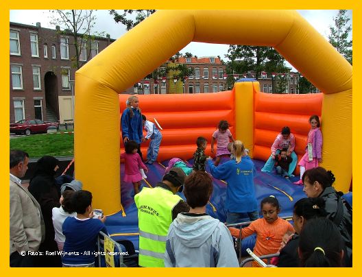 Transvaal-roel - 071