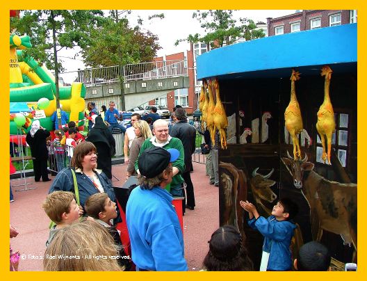 Transvaal-roel - 073