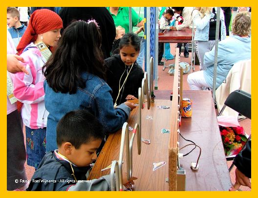 Transvaal-roel - 074