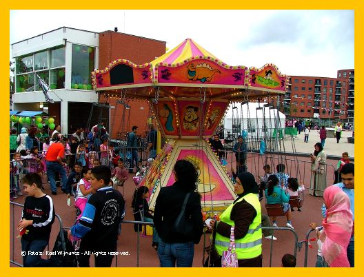 Transvaal-roel - 075