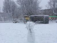 IMG-20171211-WA0029