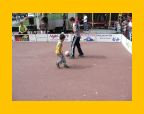 Transvaal Haagse Hopjes 2008 - 088