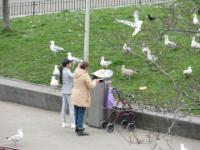 IMG 0457