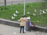IMG 0458