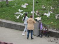 IMG 0459