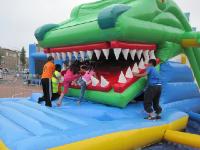 IMG 0987