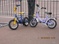 IMG 0036