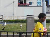 IMG 1856