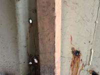 IMG-20180111-WA0004