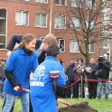 Vorige afbeelding