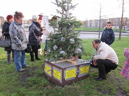 Haagse Hopjes: Plaatsen Kerstboom op het Wijkpark Transvaal