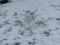 IMG-20190122-WA0010