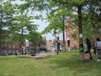 IMG 0902