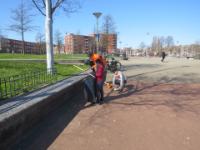 IMG 7264