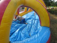 IMG 5992