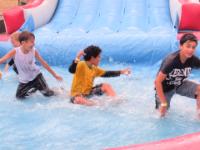 IMG 6078