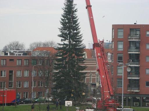 Haagse Hopjes: Weghalen Kerstboom Wijkpark