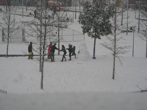 Haagse Hopjes: Wijkpark in de sneeuw