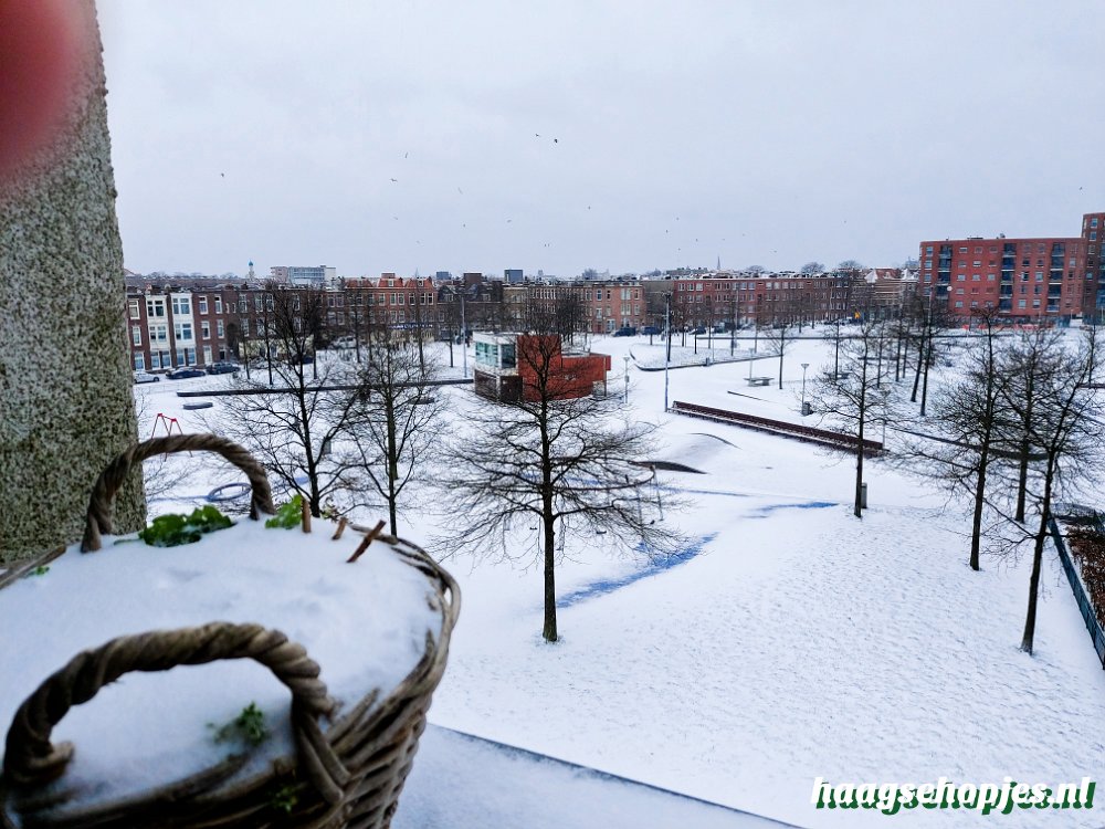 Wijkpark